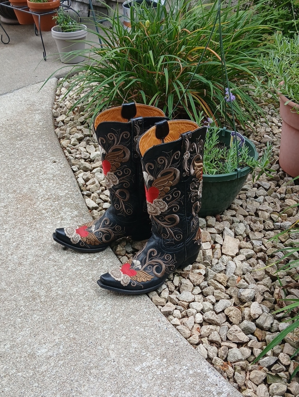 Old GRINGO GRACE BLACK EMBROIDERED BOOT SZ 9.5B - Picture 1 of 12